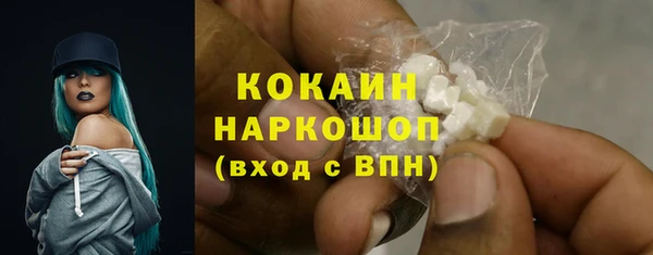 дмт Богородск