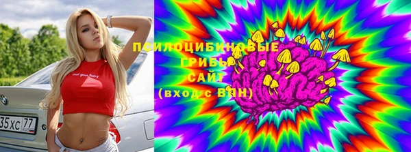 трава Бронницы