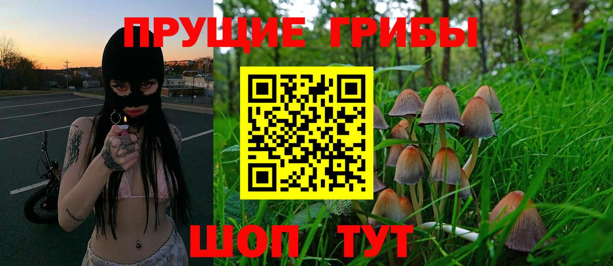 Псилоцибиновые грибы ЛСД Воркута