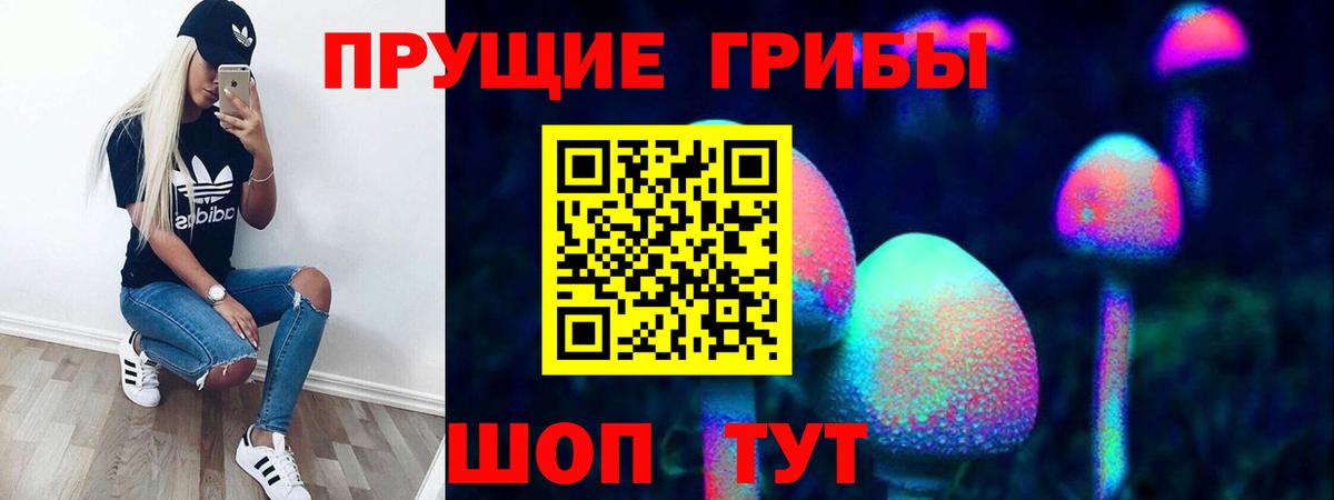 Воркута  Псилоцибиновые грибы ЛСД  Вход с VPN 